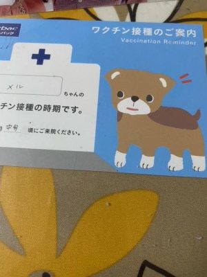 image0_2.jpeg