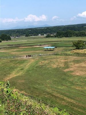 image0_5.jpeg