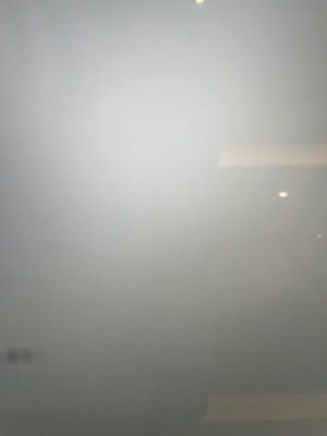 IMG_7806.jpg