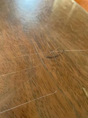image0_8.jpeg