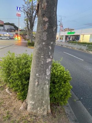 image0_4.jpeg